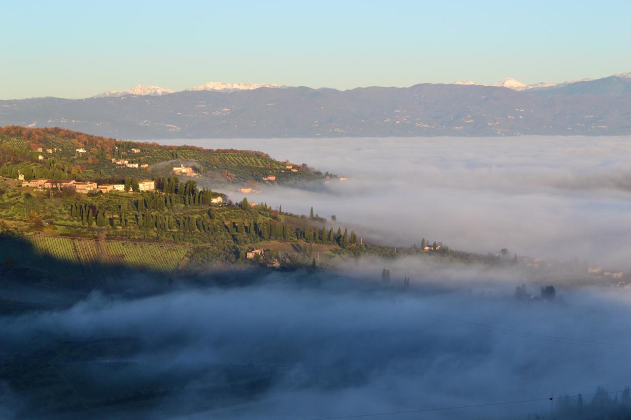 Tenuta Di Capezzana Bed & Breakfast Seano Екстериор снимка