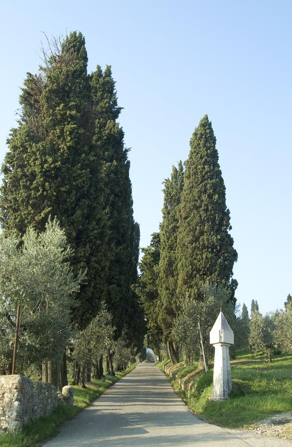 Tenuta Di Capezzana Bed & Breakfast Seano Екстериор снимка